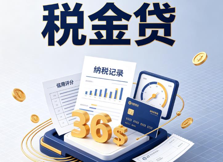 宁波镇海区企业税贷|宁波镇海区企业设备回租|宁波镇海区税贷过桥